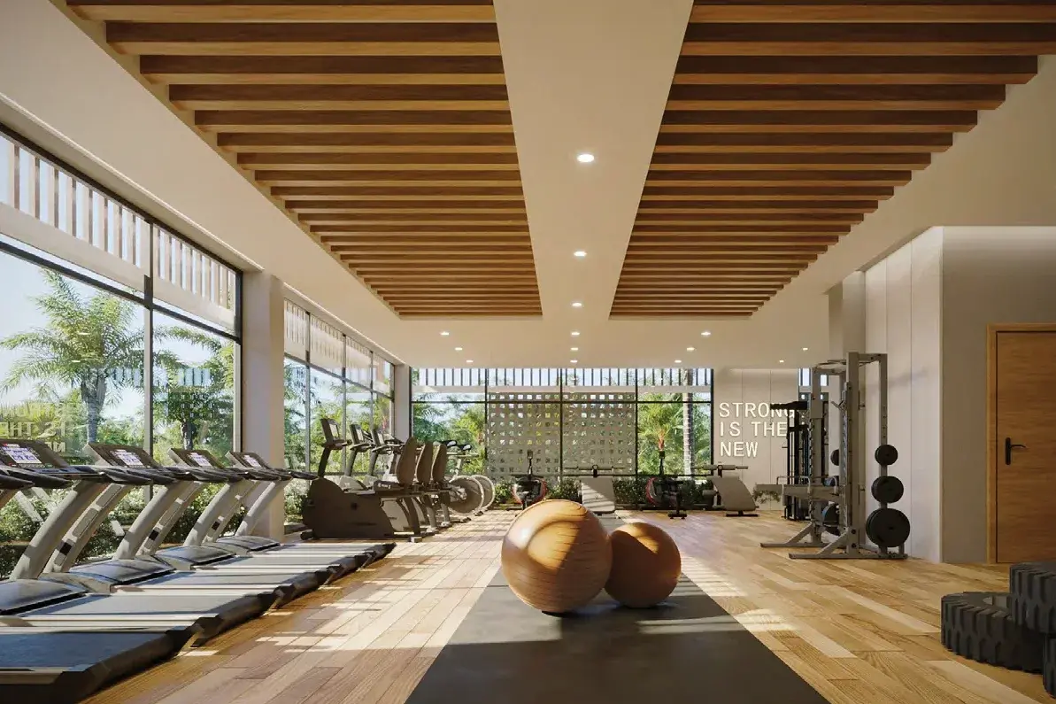 gimnasio